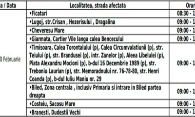 Care localități din Timișoara vor avea întreruperi de curent în zilele următoare?