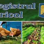 Ce informații conține raportul recent al Serviciului Agricol?