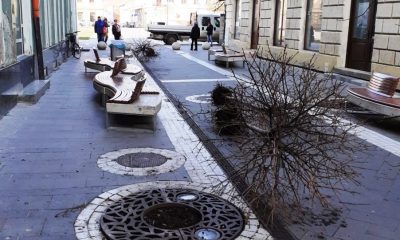 Ce s-a întâmplat cu arborii de pe strada Meţianu în această luni?