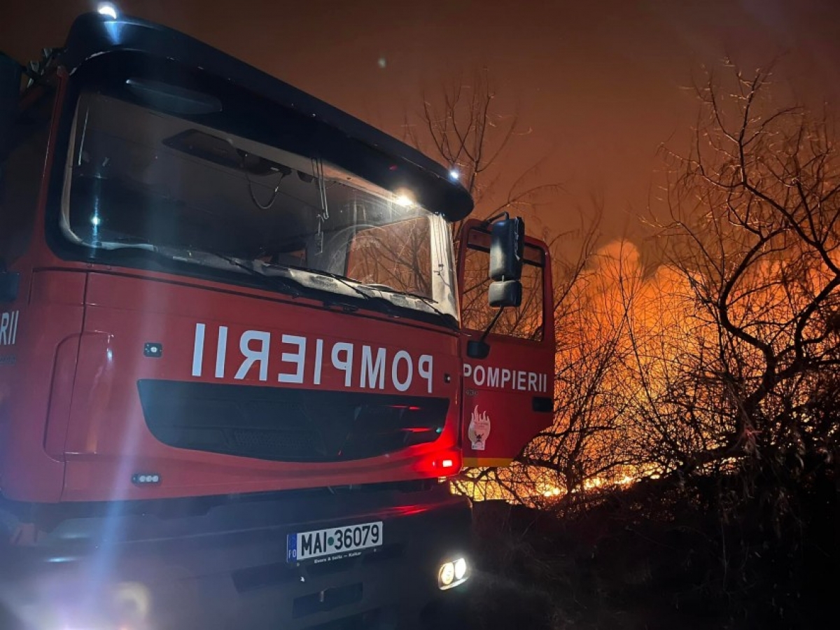 Cine este persoana găsită carbonizată în urma incendiului din Arad?