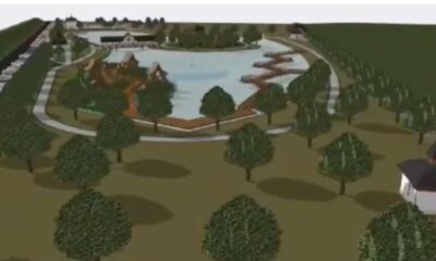 Cum va deveni o fostă pășune din Arad un parc de 3,5 hectare cu lac termal?