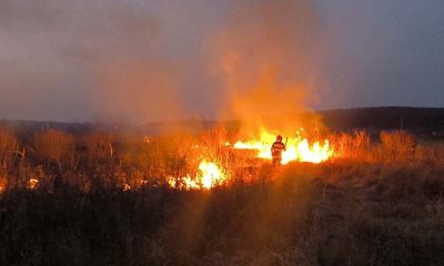 Ce s-a întâmplat în Arad: 7 incendii de vegetație în ultimele 24 de ore?