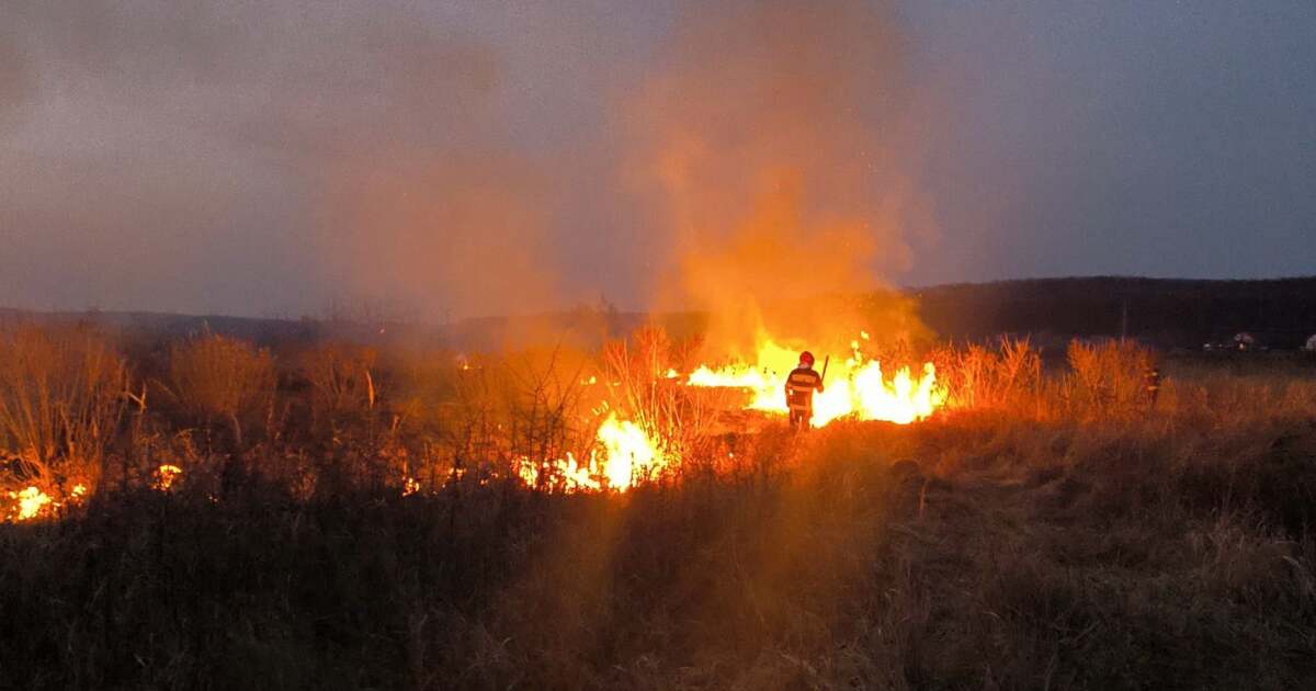 Ce s-a întâmplat în Arad: 7 incendii de vegetație în ultimele 24 de ore?