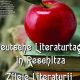 Ce surprize aduc Zilele Literaturii Germane la Reșița?  - Stiri Resita