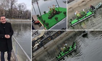 Cum ajută o insuliță plutitoare rațele sălbatice pe lacul Pădurice?