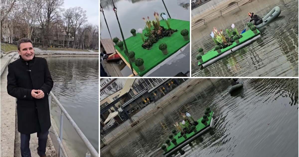 Cum ajută o insuliță plutitoare rațele sălbatice pe lacul Pădurice?