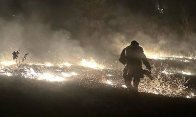 Cum au fost devastate județele Timiș, Hunedoara, Arad și Caraș-Severin de incendii?