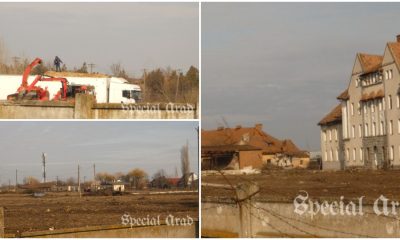 Defrișările masive de la Unitatea Militară Gai: Ce s-a întâmplat cu Cetatea Aradului?