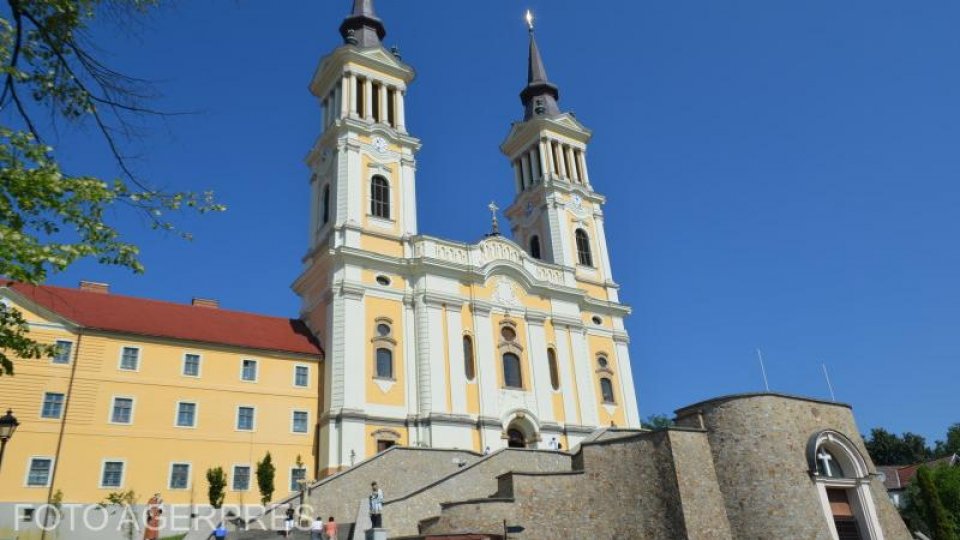 Arad: Cum au reacționat pelerinii la vestea morții papei?