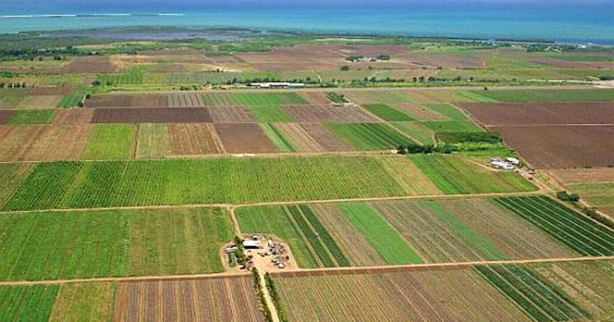 Ce oportunități oferă terenurile agricole în județul Arad?