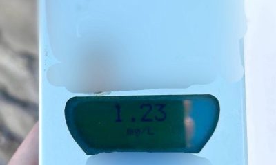 Ce s-a întâmplat în Arad când un șofer băut a evadat de poliție?