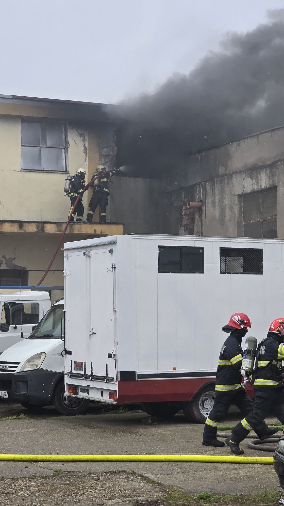 Ce s-a întâmplat în Indagrara? (foto, video) - Glasul Aradului