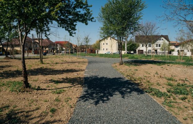 Cum a fost transformat un teren neutilizat din Timișoara în spațiu verde?