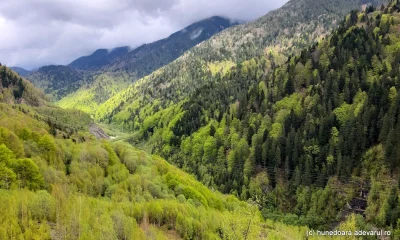 Cum își redobândește Cenușăreasa Ardealului strălucirea prin drumuri spectaculoase?