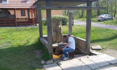 De ce izvoarele din Arad devin alternativa preferată la apa îmbuteliată?