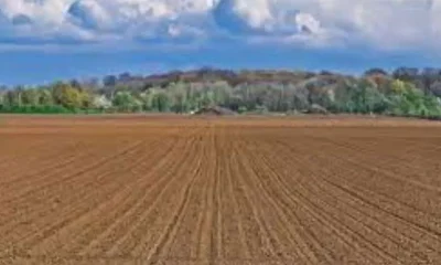De ce sunt gospodăriile din Arad obligate să se înregistreze în Registrul Agricol?
