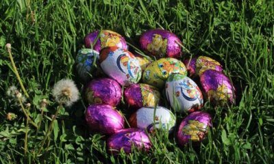 „Te-ai pregătit pentru vânătoarea de ouă de ciocolată din parcurile Timișoarei?”