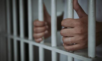 Ce furtișaguri s-au petrecut în Arad? Trei suspecți au fost arestați!