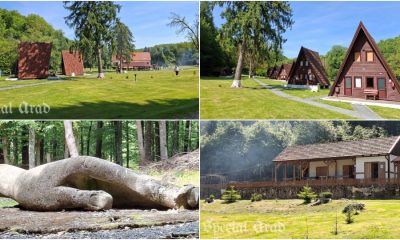 Ce noutăți aduce noul sezon la Tabăra Căsoaia? Turn de belvedere și tiroliană!