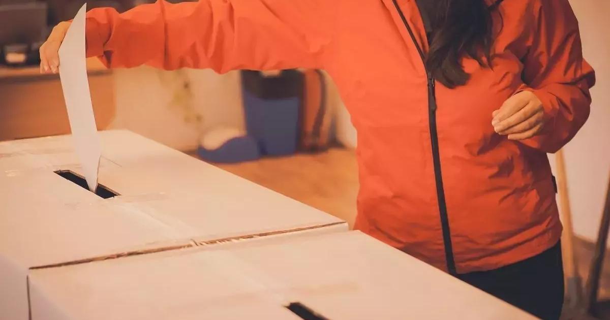 Ce spun rezultatele alegerilor prezidențiale 2025 în județul Arad?