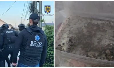 Cine sunt cei șapte reținuți într-un dosar de trafic de droguri la Arad?