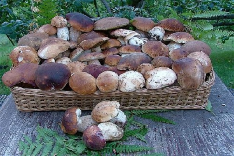 Cine sunt cele șapte persoane care au fost internate anul trecut la spital?