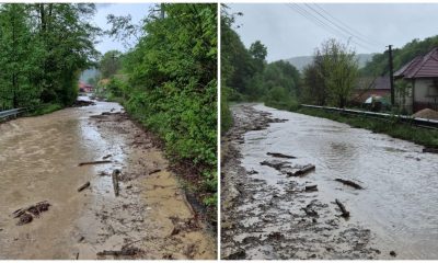 Cum afectează inundațiile județul Arad? Descoperă impactul devastator!