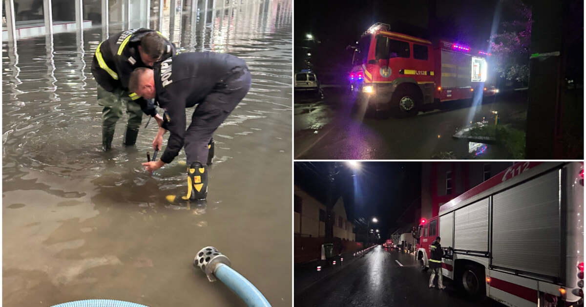 Cum au ajutat pompierii arădeni 12 gospodării afectate de inundații?