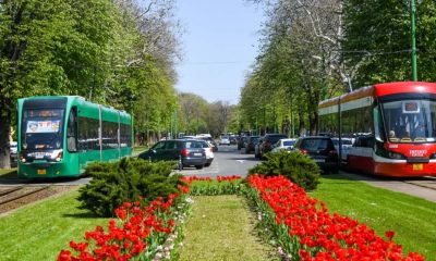 "Cum oprește Cupa Aradului la Ciclism tramvaiele din oraș?"