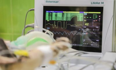 Cum va moderniza Spitalul Judeţean din Reşiţa blocul operator cu noi echipamente?  - Stiri Resita