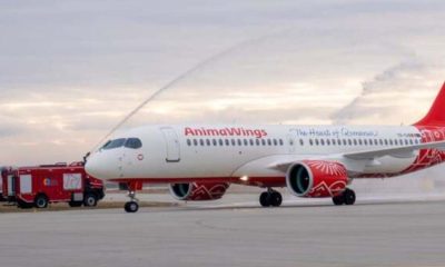 De ce Timișoara devine noua destinație pentru zborurile Animawings?