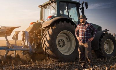 De ce ezită fermierii din Caraș-Severin să acceseze fondurile pentru pomicultură?  - Stiri Resita