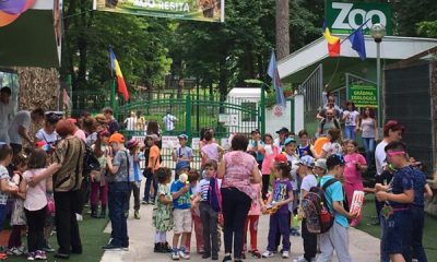 Doriți o zi de neuitat la Zoo, gratis pentru copii de ziua lor?  - Stiri Resita
