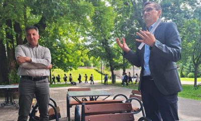 Se fac din nou tăieri de arbori în Arad? Ce trebuie să știm!