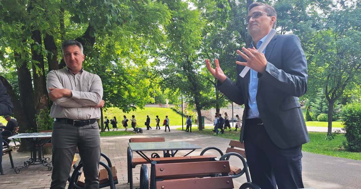 Se fac din nou tăieri de arbori în Arad? Ce trebuie să știm!