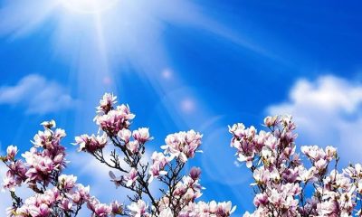 Va fi vreme caldă și soare în weekendul alegerilor? Descoperă detalii!