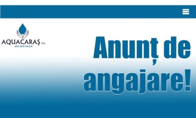 Visezi la un loc de muncă? Descoperă posturile vacante din Caraș-Severin!  - Stiri Resita