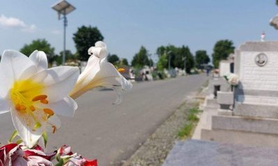 „De ce Primăria Arad intenționează să interzică coroanele în cimitirele sale?”