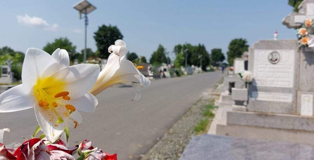 „De ce Primăria Arad intenționează să interzică coroanele în cimitirele sale?”