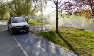 „Știi că Primăria Arad desfășoară o nouă acțiune de dezinsecție până pe 23 mai?”