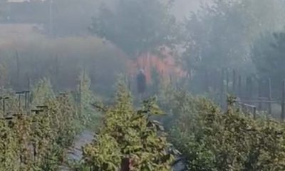 Ce a declanșat incendiul de vegetație din apropierea locuințelor din Aradul Nou?