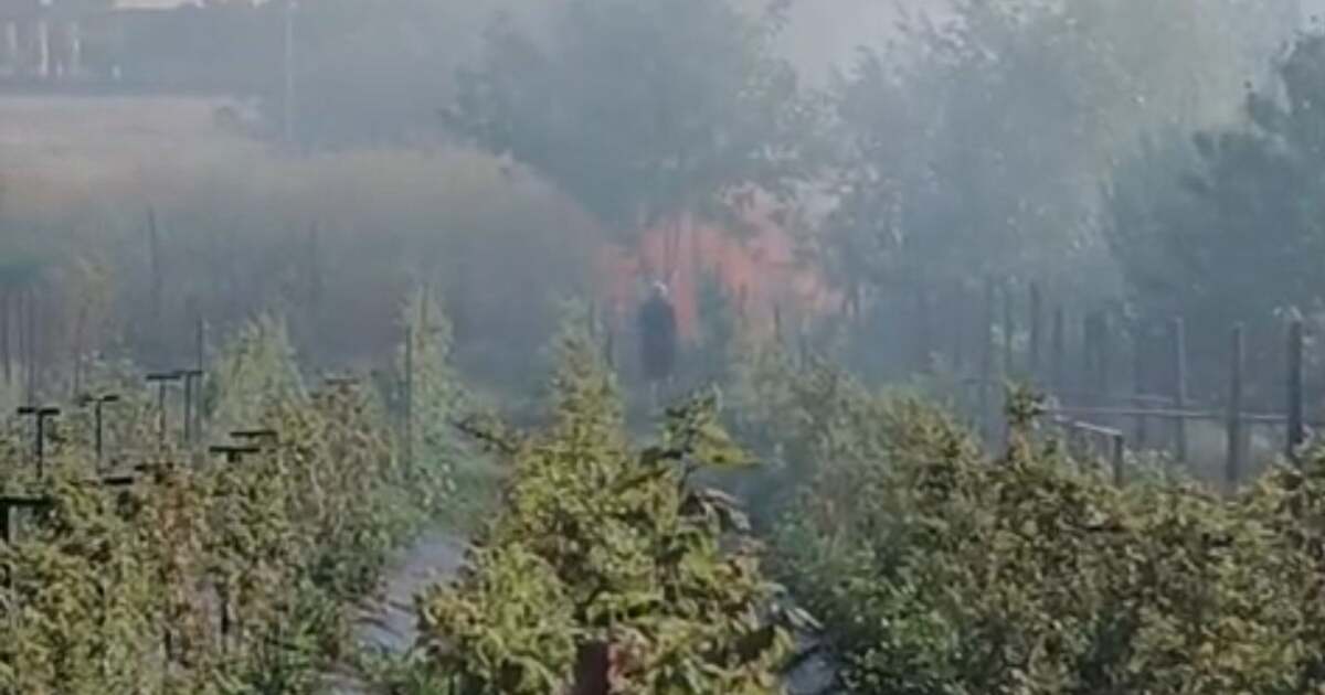 Ce a declanșat incendiul de vegetație din apropierea locuințelor din Aradul Nou?