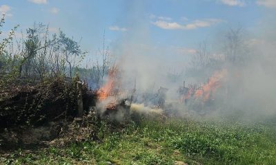 Ce a provocat incendiul care a mistuit un hectar de teren la Arad?
