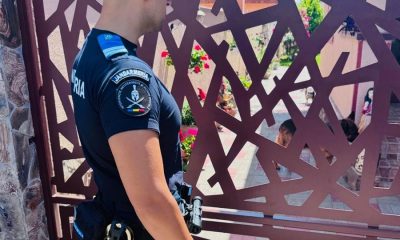 Ce s-a întâmplat cu o septuagenară atacată de un ciobănesc german în Arad?