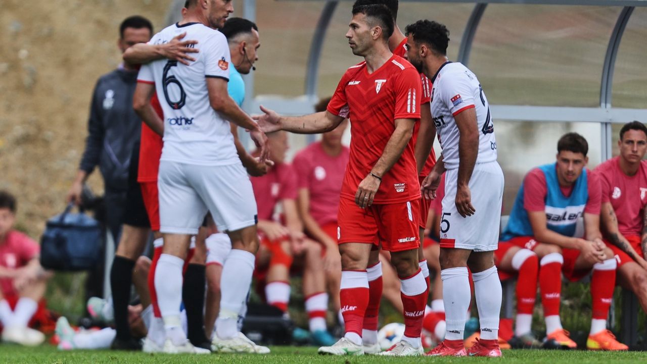 Ce s-a întâmplat la amicalul românilor în Slovenia, când arbitrul a fost dus cu ambulanța?