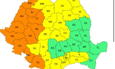 Ce trebuie să știm despre canicula și disconfortul termic din Arad pe 8 iunie?