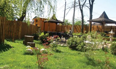 Cum a început Adrian Botca, proprietarul Arbo Turism din Hunedoara, afacerea sa de succes?