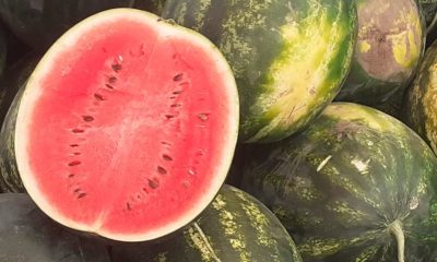 Cum aducem vara și prospețimea direct de la producători în viața ta?  - Stiri Resita