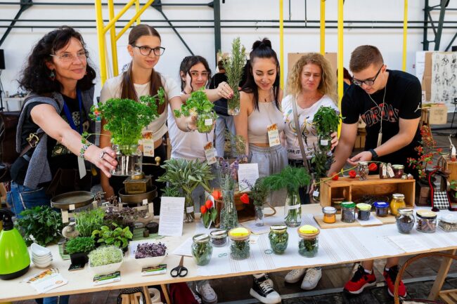 Cum îi învață elevii din Timișoara să gătească, să coase și să consume responsabil?