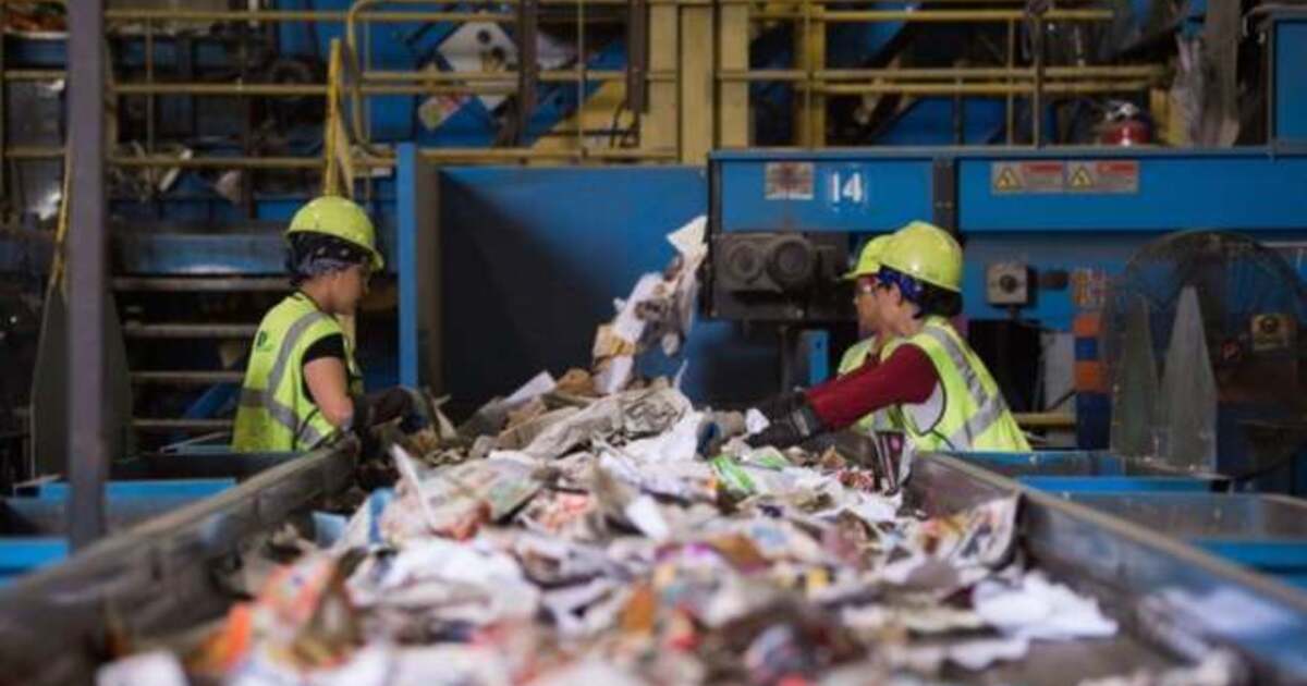 Cum poți obține bani pentru curățenie după serviciul de salubritate?